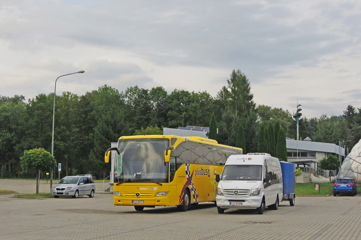 Mercedes-Benz 519 CDI / Bus-Prestige MB Sprinter #BIA 42088