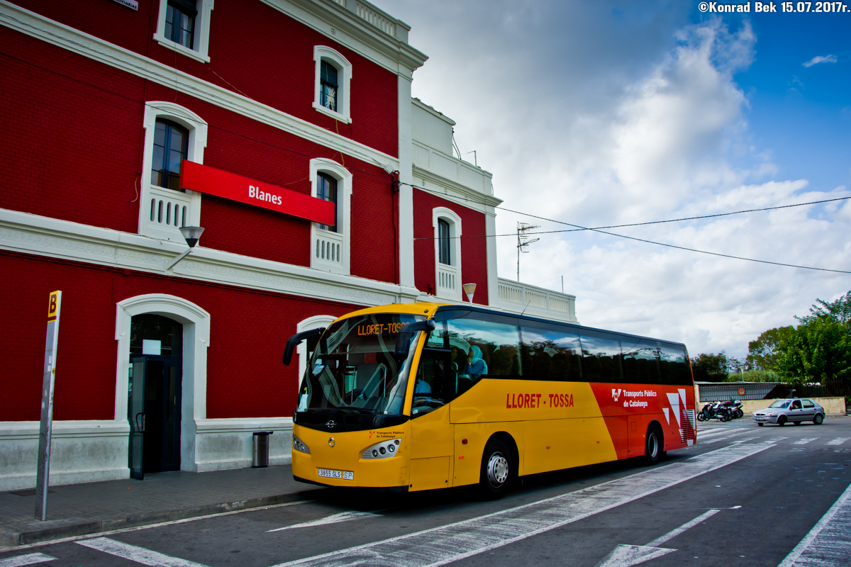 Irisbus EuroRider 397E.12.31 / Ayats Platinum #345