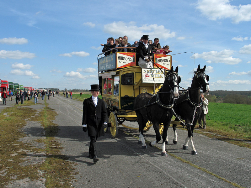 Horse Omnibus #